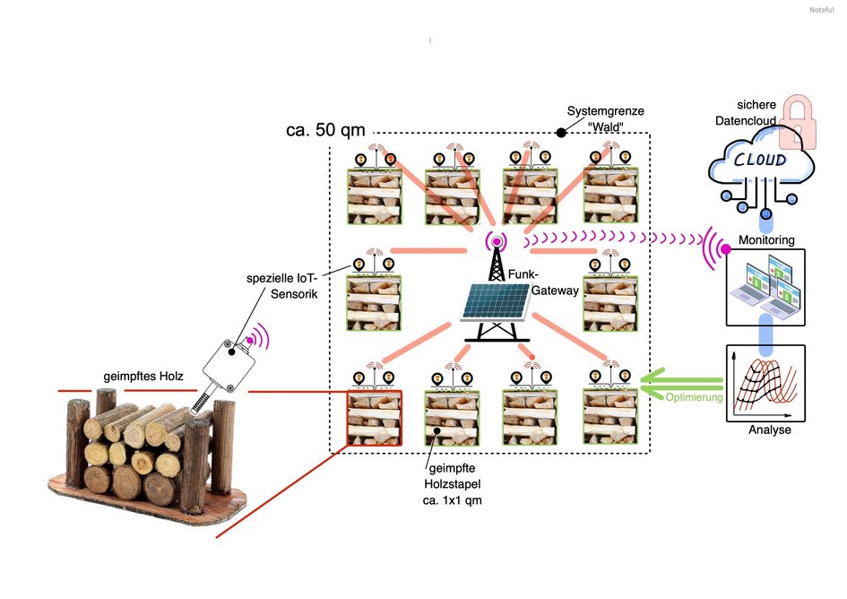 Schematische Darstellung des Versuchsaufbaus