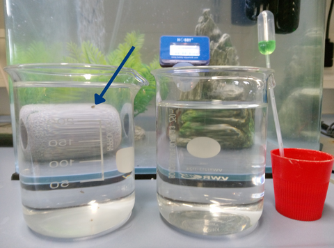 Analyse von Umwelteinflüssen auf Daphnien in Versuchsaquarien