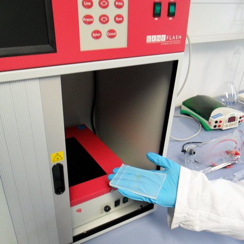 DNA Analytik im Labor für Biotechnologie und Bioökonomie (öffnet Vergrößerung des Bildes)