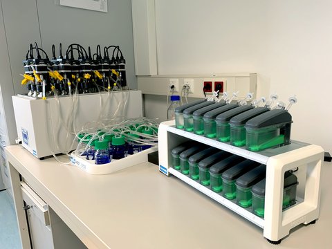 Abbildung Gas Endeavour (öffnet Vergrößerung des Bildes)