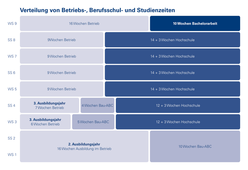 Grafische Übersicht der ungefähren Wochen in Betrieb und Hochschule in den jeweiligen Semestern. (öffnet Vergrößerung des Bildes)