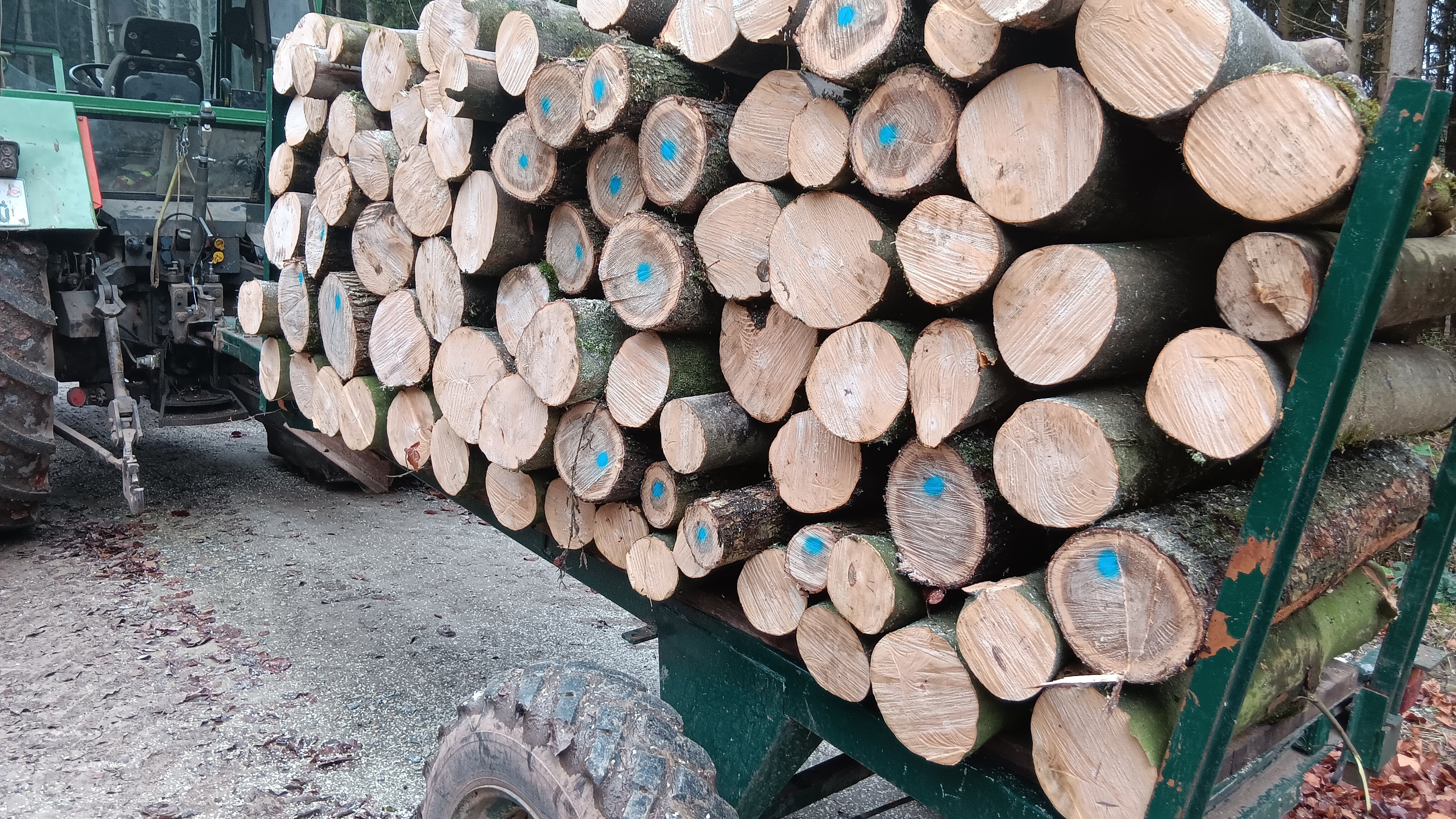 Das Bild zeigt den Holztransport vom Hof Schlemme zu den Versuchsflächen im Solling.