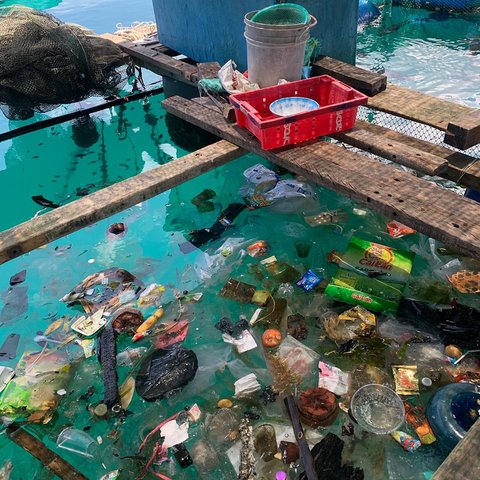 Vermülltes Gewässer 
