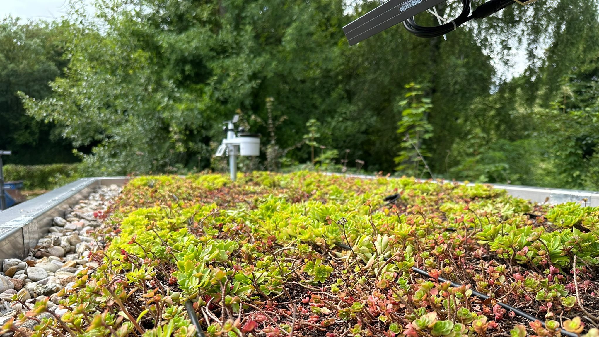 Das Bild zeigt die Wetterstation auf dem Gründach der Wartehalle des Prototyps. 