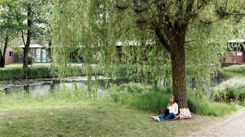 Dekorativ:Person sitzt am Laptop arbeitend unter einem großen Baum neben einem Teich auf einer Wiese, umgeben von Gebäuden und Natur (öffnet Vergrößerung des Bildes)