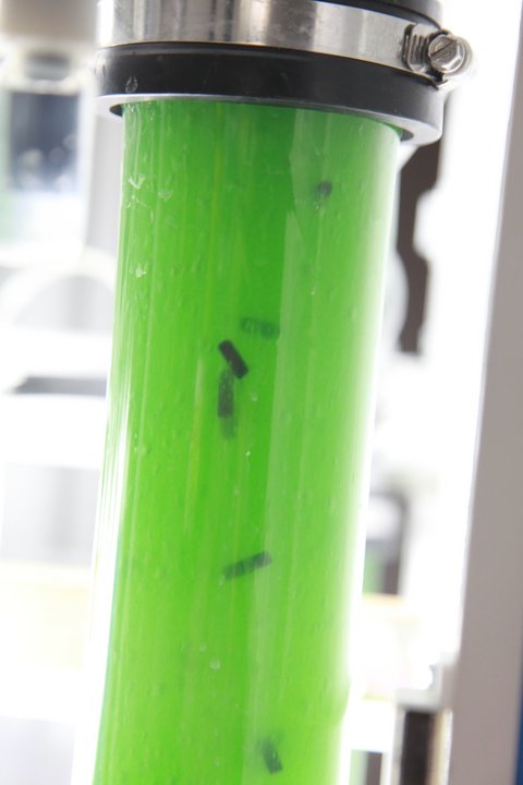 Bioreaktor im Labor für Biotechnologie und Bioökonomie (öffnet Vergrößerung des Bildes)