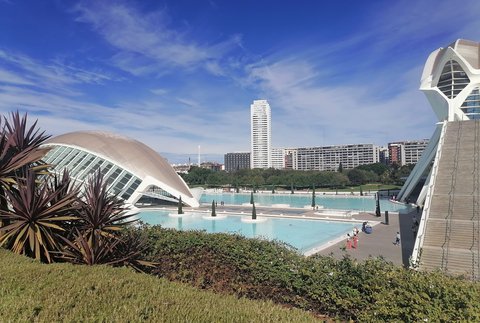 Hinter grünen Hecken und Palmen erstreckt sich die sogenannte Stadt der Künste und der Wissenschaften; ein rundlicher Gebäudekomplex mit vielen Glasflächen. Im Hintergrund stehen große, weiße Häuserfassaden. (öffnet Vergrößerung des Bildes)