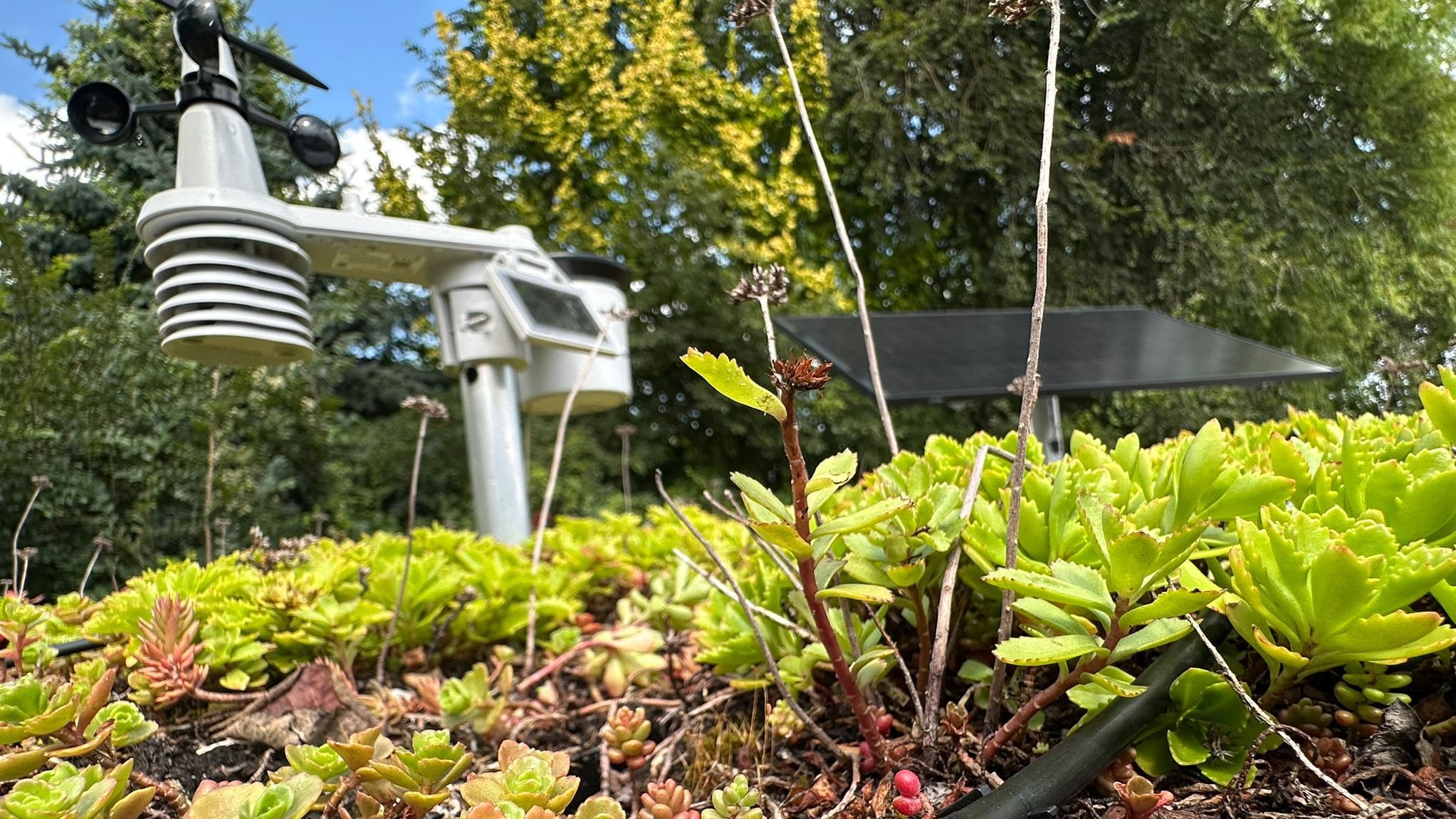 Das Bild zeigt Wetterstation und Solarpaneel auf dem Gründach der Wartehalle des Prototyps. 