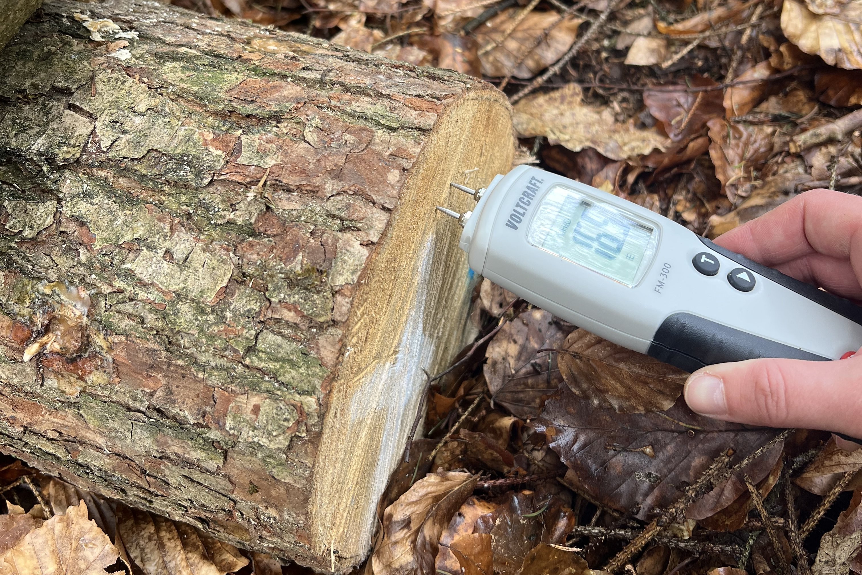 Das Bild zeigt die Messung der Holzfeuchte mittels eines widerstandsbasierten Holzfeuchtemessgerätes. 