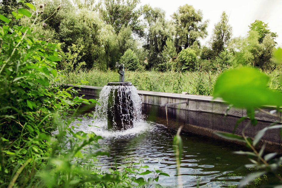 Zwischen Bäumen und hohem Gras verläuft ein längliches Wasserbecken. Aus diesem ragt ein Betonrohr hervor, das plätschernd überläuft.