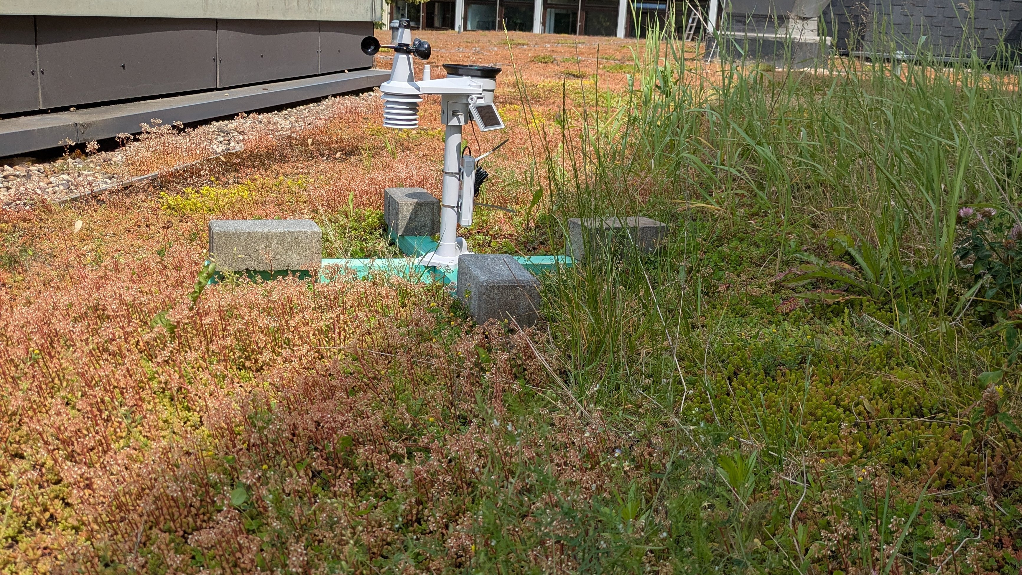 Wetterstation auf dem begrünten Dach der Ostfalia Hochschule