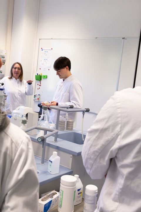 Schüler und Schülerinnen werten die Luftprobe eigenständig aus (öffnet Vergrößerung des Bildes)