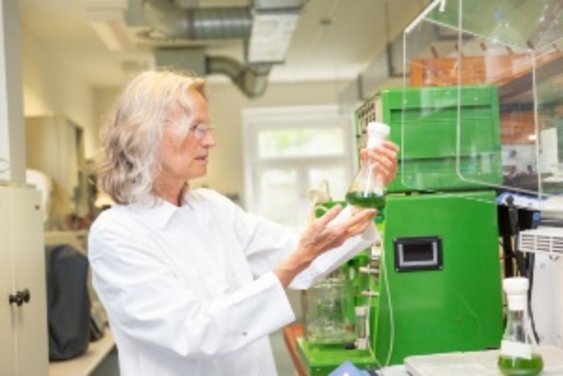 Prof. Sander schaut sich eine grüne Flüssigkeit in einem Kolben an