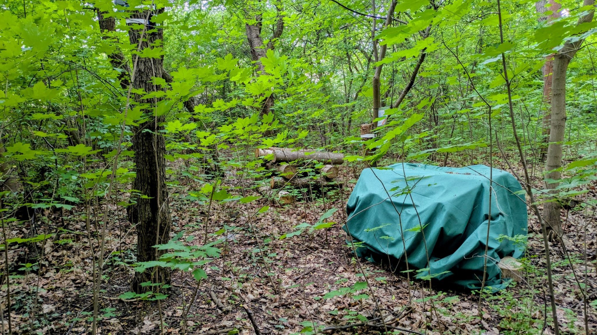 Versuchsaufbau Am Exer in Wolfenbüttel