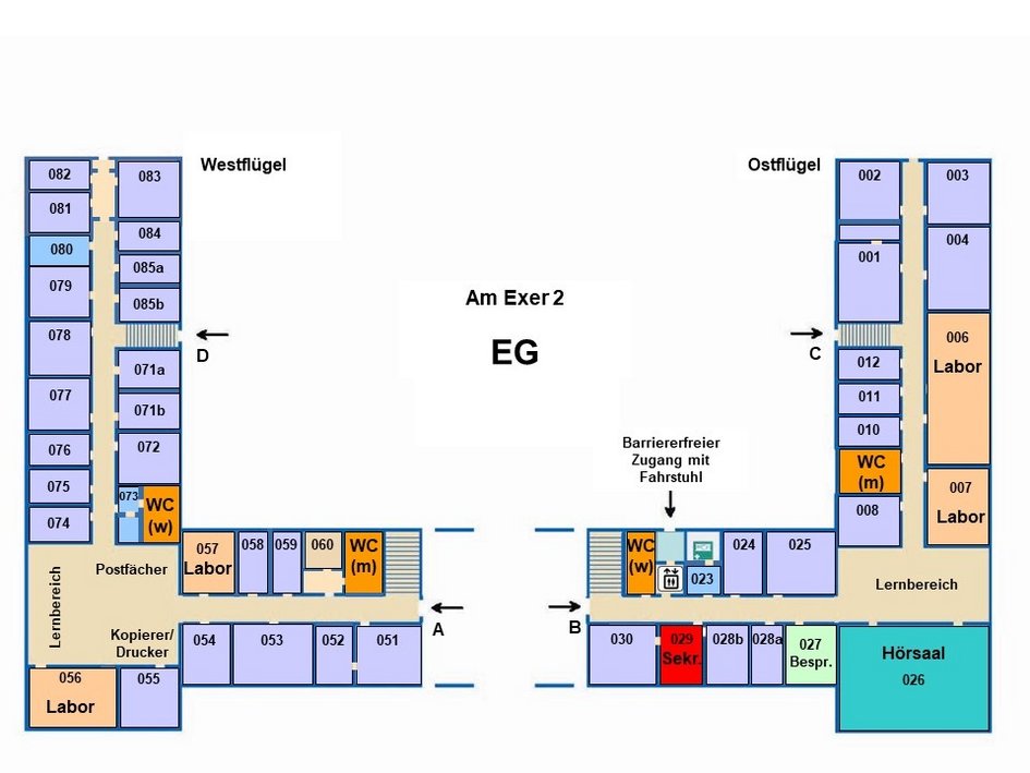 Raumplan für das Erdgeschoss Am Exer 2