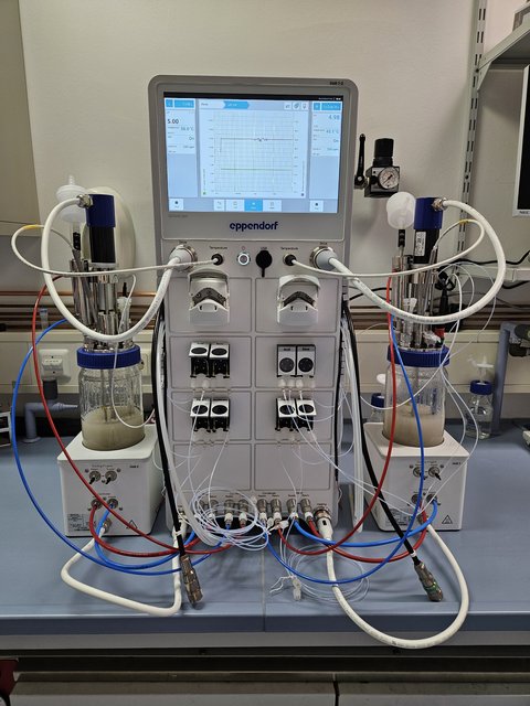 Bild vom Parallelreaktor im Labor für Biotechnologie und Bioökonomie der Fakultät Versorgungstechnik. (öffnet Vergrößerung des Bildes)