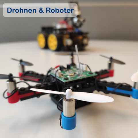 Drohne (öffnet Vergrößerung des Bildes)