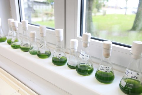 Versuch im Labor für Gewässerschutz