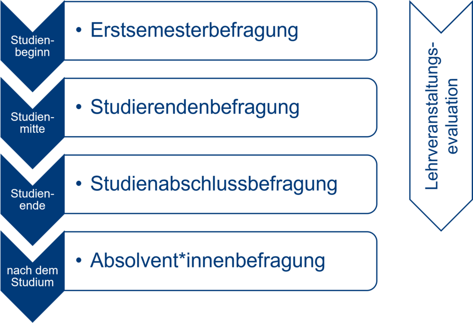 Das Bild stellt den zeitlichen Ablauf der Befragungen dar. Zum Studienbeginn wird die Erstsemesterbefragung, zur Studienmitte die Studierendenbefragung und zum Studienende die Studienabschlussbefragung durchgeführt. Nach dem Studium erfolgt die Absolvent*innenbefragung. Die Lehrveranstaltungsevaluation erfolgt über das gesamte Studium hinweg.