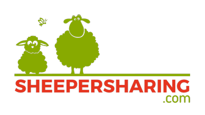 Die BS-CarSharing GmbH