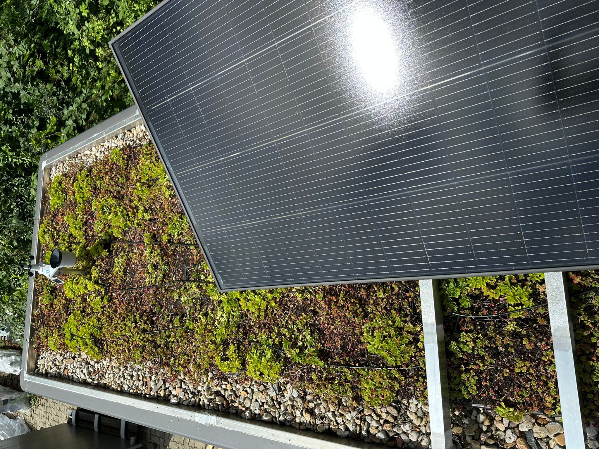 Das Foto zeigt das begrünte Dach der Wartehalle mit Solarpanel, Wetterstation und Perlschlauch für die Bewässerung. 