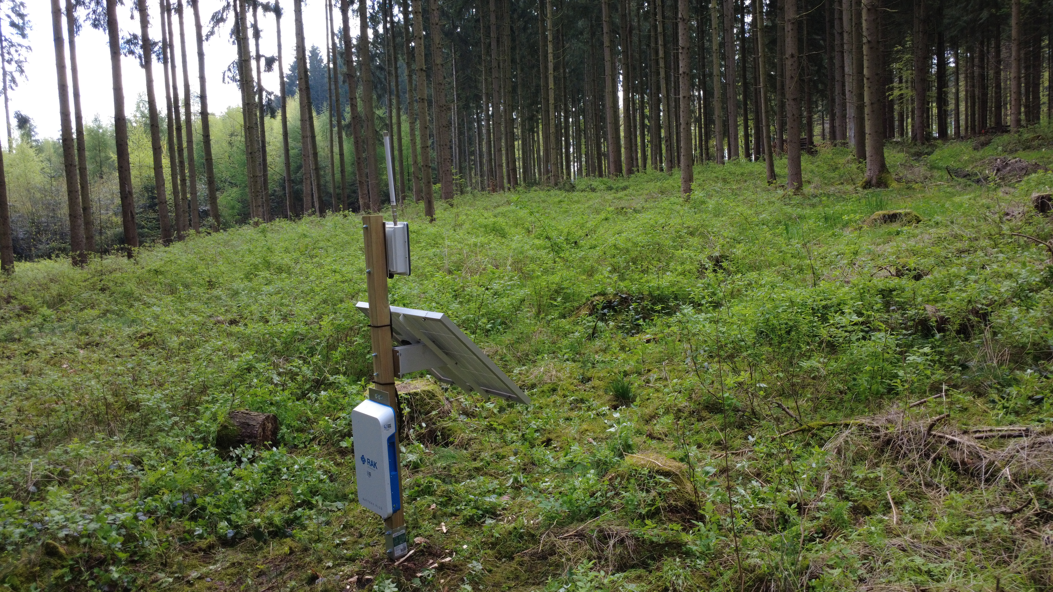 Das Bild zeigt das autarke Gateway auf den Versuchsflächen im Solling.