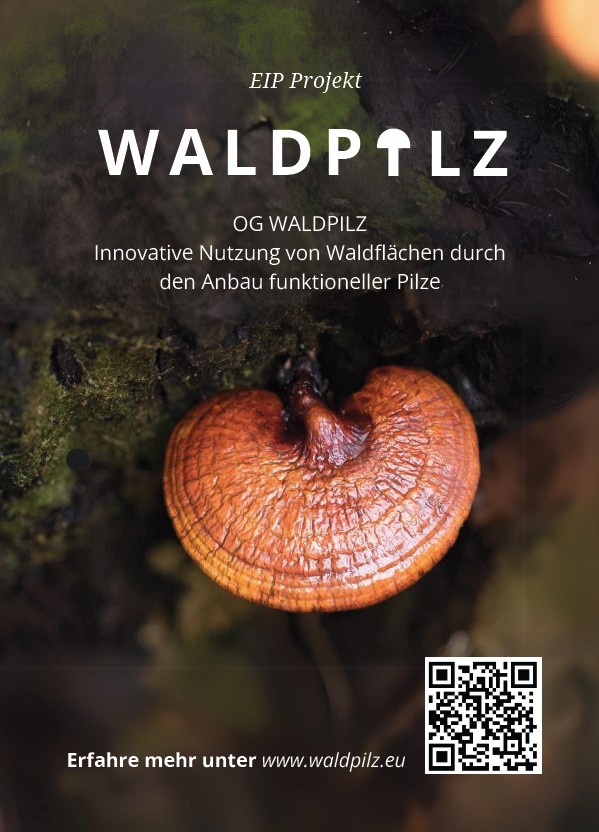 Abbildung des Flyers für das EiP Sommerfest in Hannover.