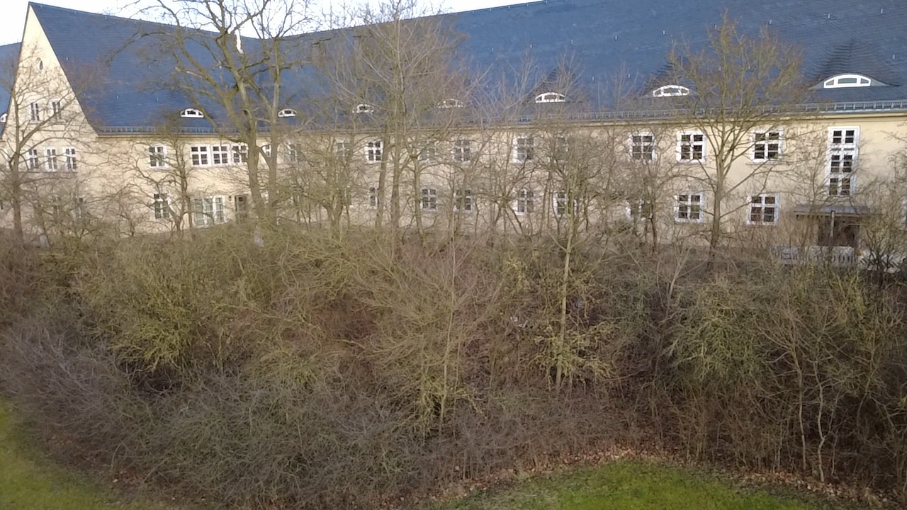 Versuchsfläche im Ahornwald auf dem ehemaligen Kasernengelände Am Exer in Wolfenbüttel