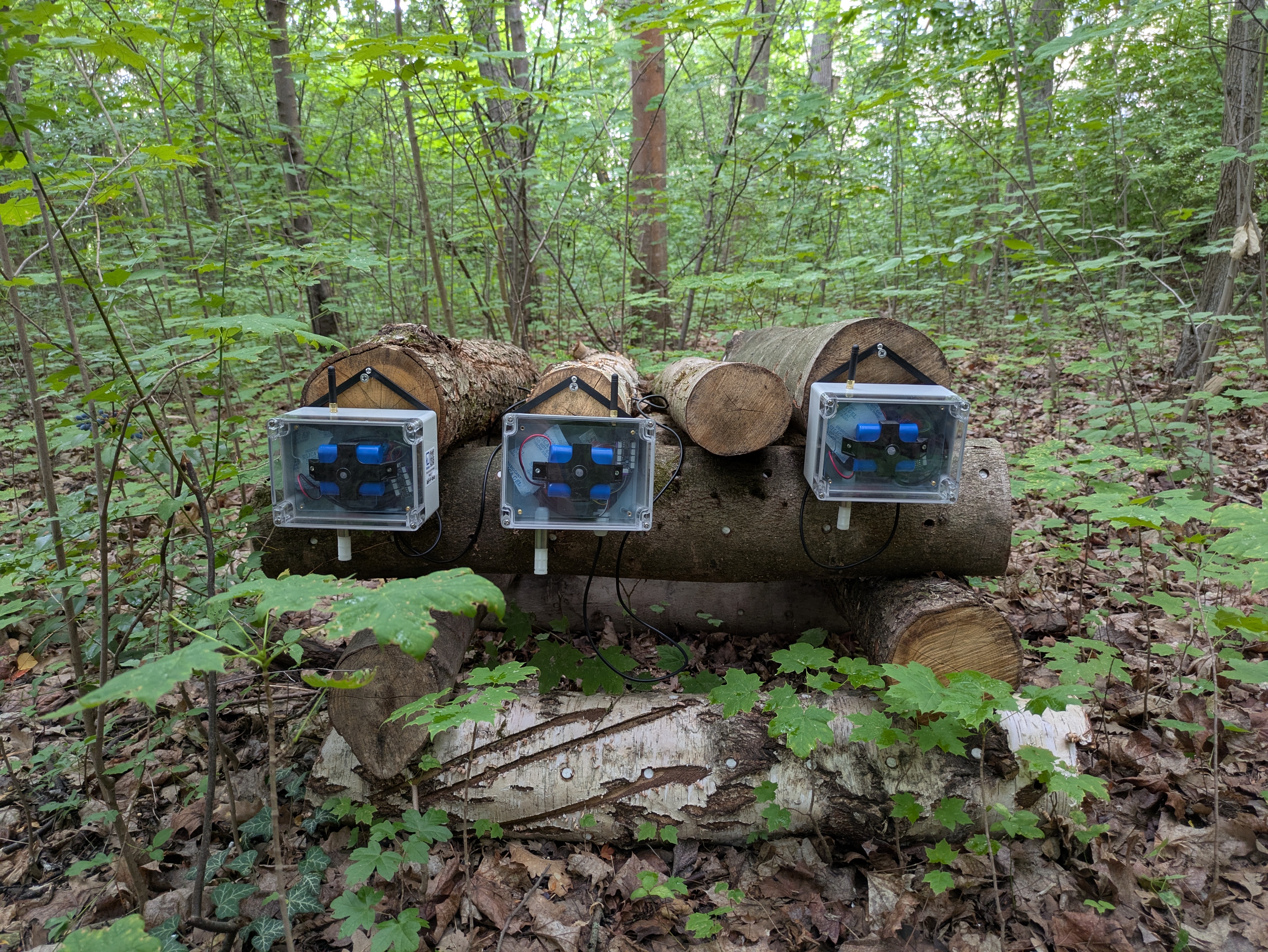 Am Holzpolter installierte Sensorknoten zur Überwachung der Wachstumsbedingungen für Reishi-Pilze.